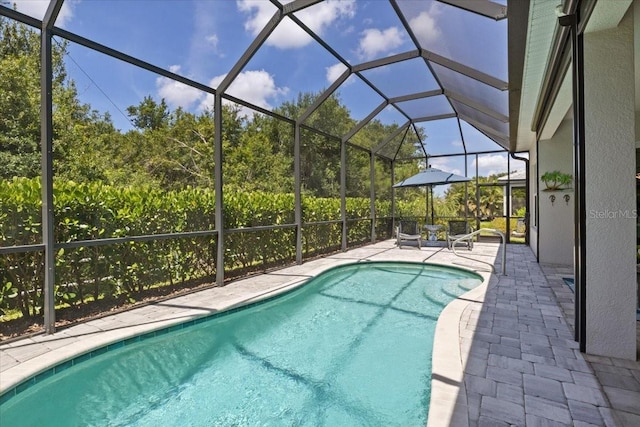 3605 Wild Blossom Pl, Parrish, FL 34219 - outdoor pool featuring a patio area and a lanai