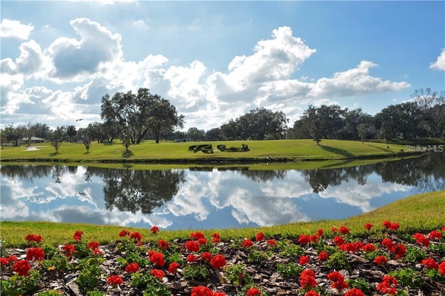3605 Wild Blossom Pl, Parrish, FL 34219 - water view