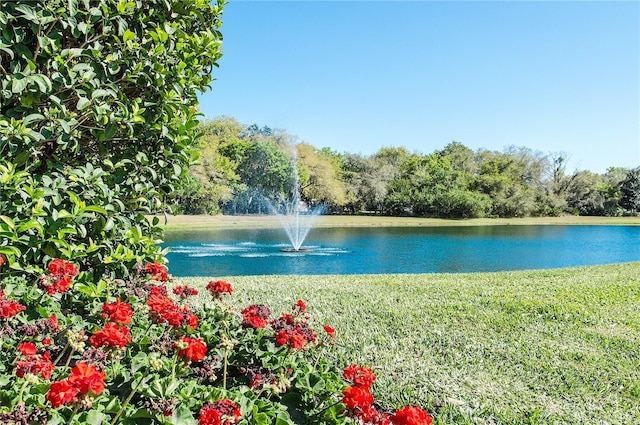 3605 Wild Blossom Pl, Parrish, FL 34219 - water view