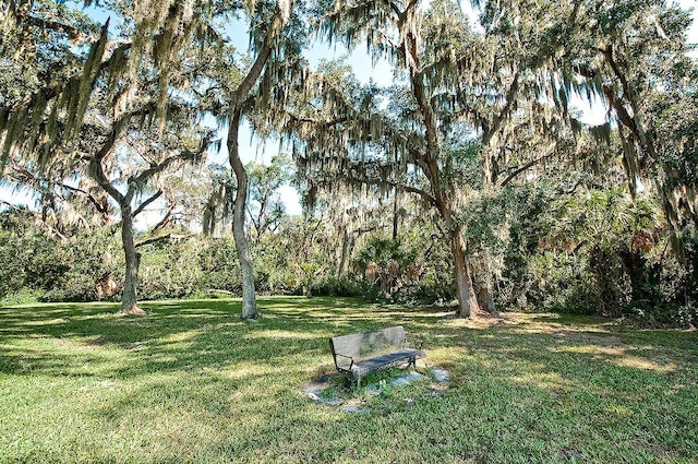 3605 Wild Blossom Pl, Parrish, FL 34219 - view of green lawn