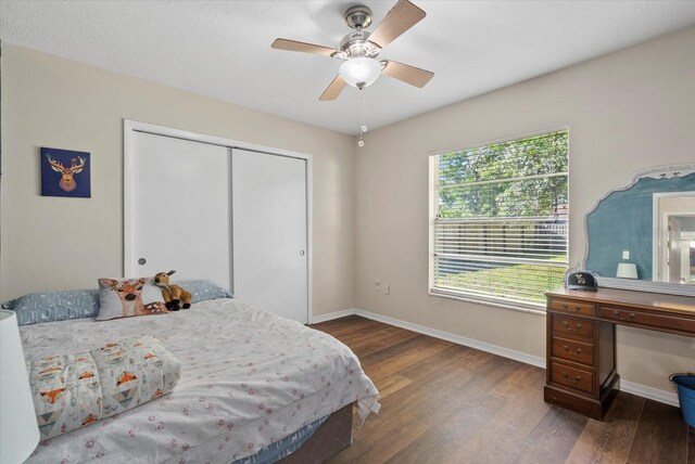 816 Queen Palm Ln, Sarasota, FL 34243 - photo 16
