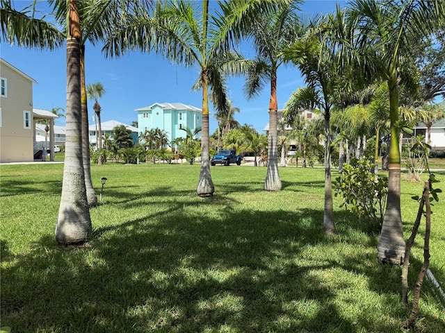 124 Burns Rd, Terra Ceia, FL 34250 - photo 4