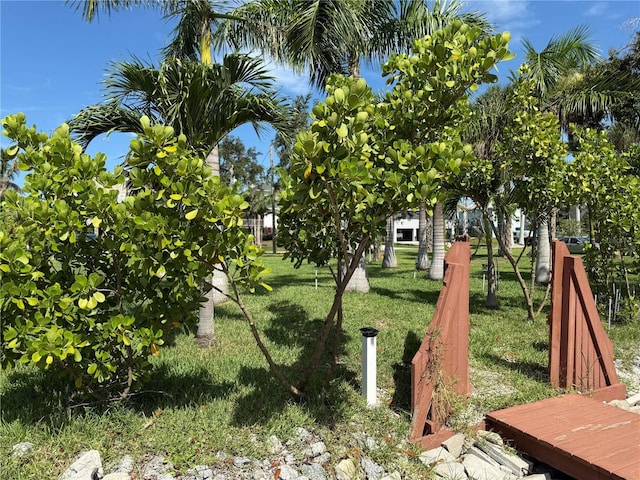 124 Burns Rd, Terra Ceia, FL 34250 - photo 5
