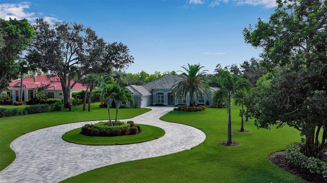462 E Macewen Dr, Osprey, FL 34229 - view of home's community featuring curved driveway and a lawn