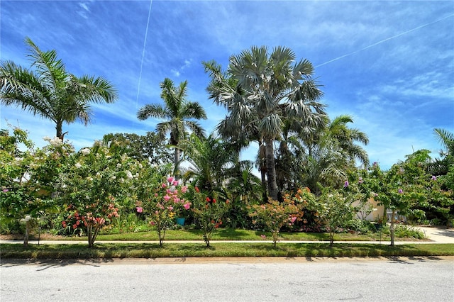 6308 4th Ave NW, Bradenton, FL 34209 - view of front of house