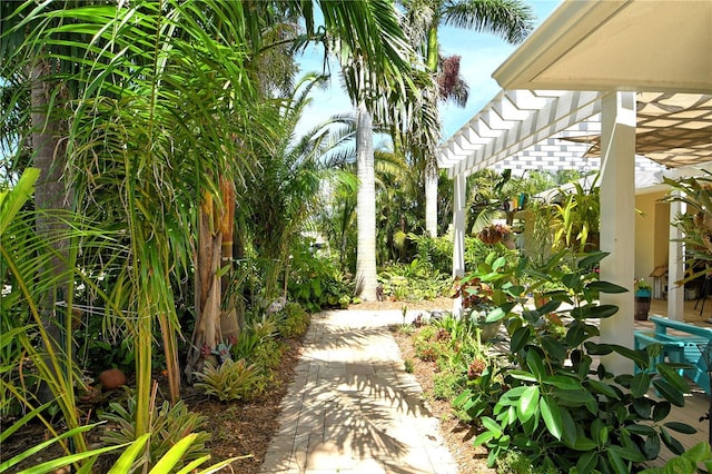 6308 4th Ave NW, Bradenton, FL 34209 - view of yard with a pergola