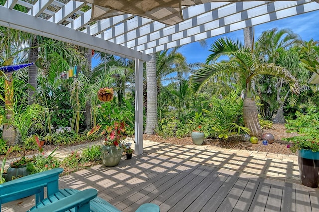 6308 4th Ave NW, Bradenton, FL 34209 - wooden terrace featuring a pergola