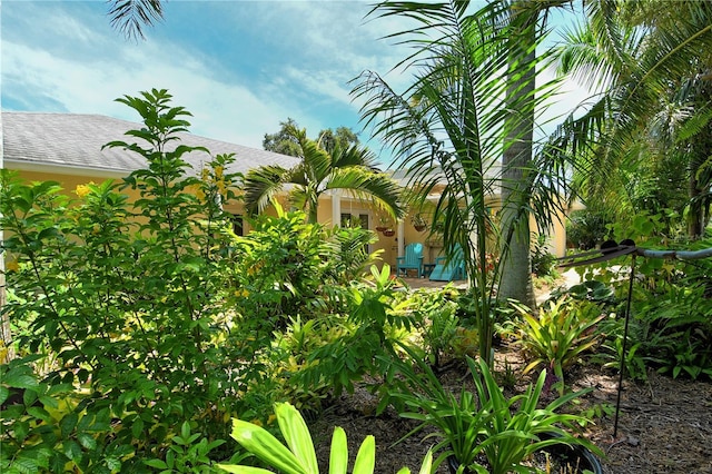 6308 4th Ave NW, Bradenton, FL 34209 - view of yard