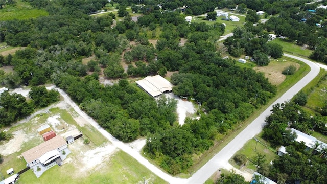 2464 SW Kleis Dr, Arcadia, FL 34266 - photo 20