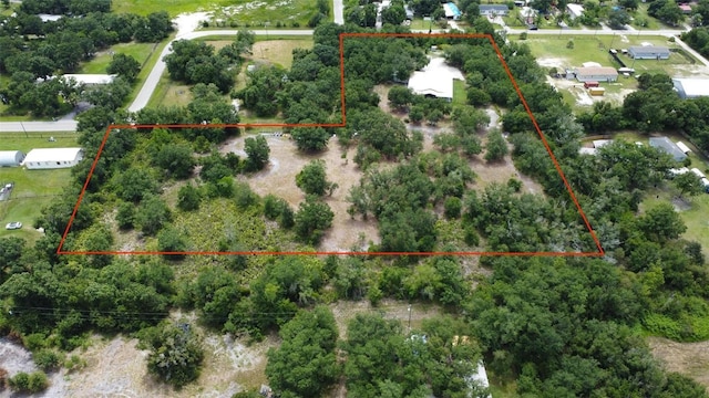 2464 SW Kleis Dr, Arcadia, FL 34266 - photo 22