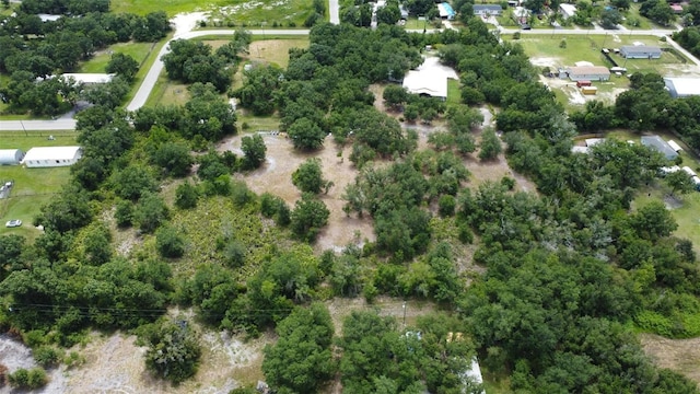 2464 SW Kleis Dr, Arcadia, FL 34266 - photo 23