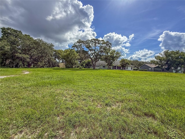 8606 Gold Pine Dr, Port Richey, FL 34668 - view of yard