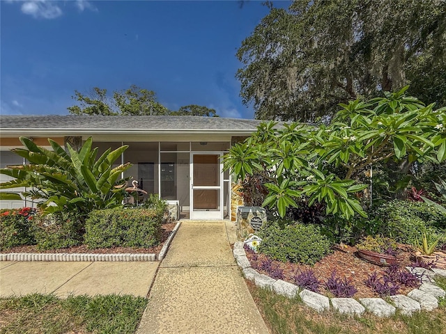8606 Gold Pine Dr, Port Richey, FL 34668 - doorway to property featuring a shingled roof