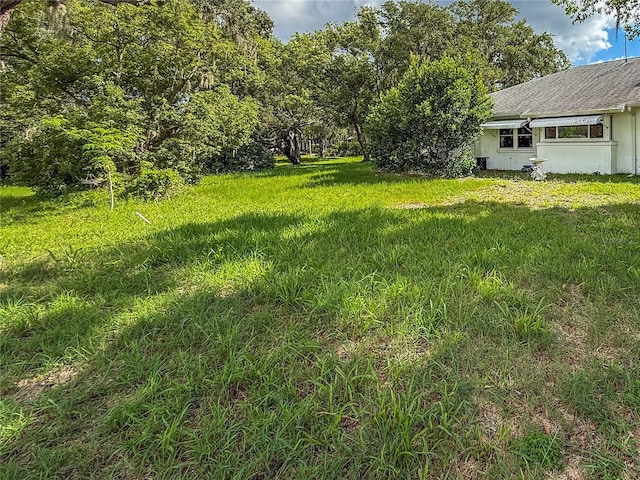 8606 Gold Pine Dr, Port Richey, FL 34668 - view of grassy yard