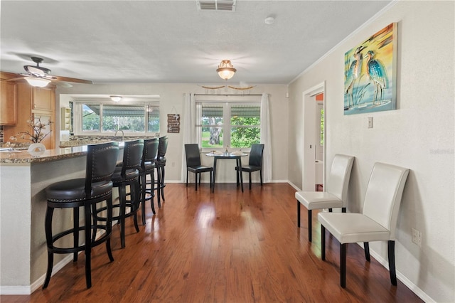 8606 Gold Pine Dr, Port Richey, FL 34668 - kitchen featuring plenty of natural light, dark wood-style floors, a breakfast bar area, and ornamental molding