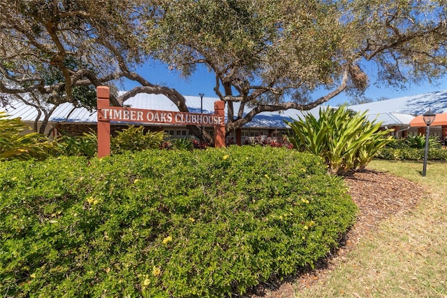 8606 Gold Pine Dr, Port Richey, FL 34668 - view of yard