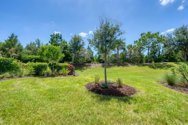 17546 Northwood Pl, Bradenton, FL 34202 - photo 33