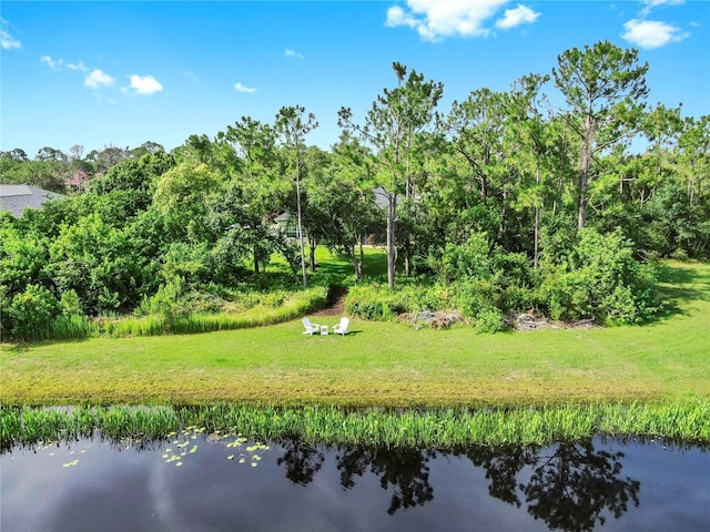 21803 Deer Pointe Xing, Bradenton, FL 34202 - photo 6
