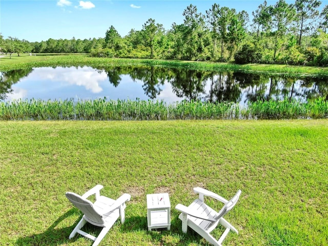 21803 Deer Pointe Xing, Bradenton, FL 34202 - photo 7