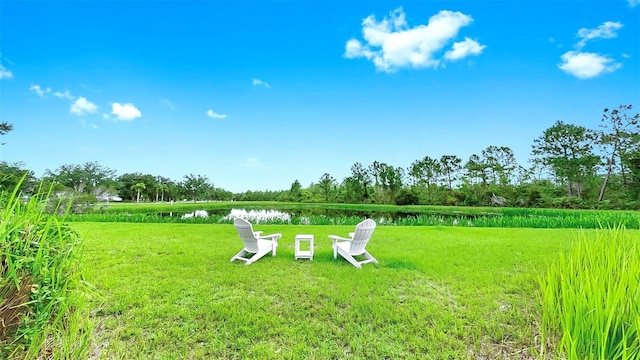 21803 Deer Pointe Xing, Bradenton, FL 34202 - photo 62