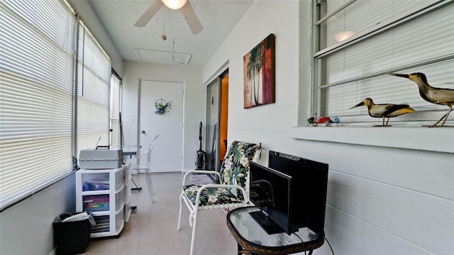 4604 Park Acres Dr Unit 96, Bradenton, FL 34207 - photo 10