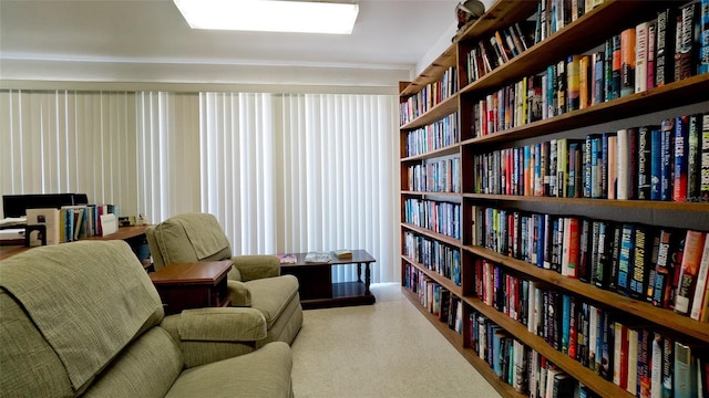 4604 Park Acres Dr Unit 96, Bradenton, FL 34207 - photo 36