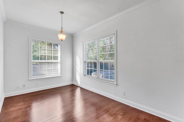 10818 Tradition Loop, Tampa, FL 33618 - photo 22
