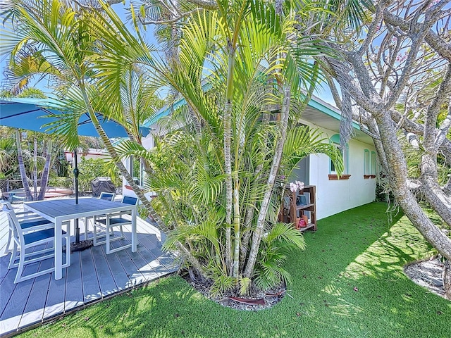706 Jacaranda Rd, Anna Maria, FL 34216 - photo 50