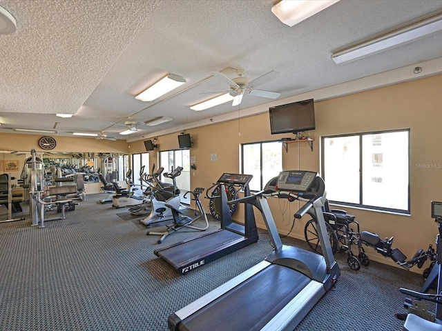 1102 Benjamin Franklin Dr Unit 310, Sarasota, FL 34236 - photo 45