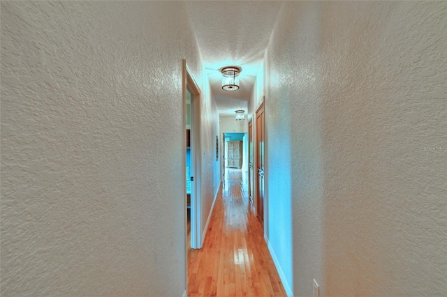 355 Trieste Dr, Punta Gorda, FL 33950 - hall featuring light wood-style flooring and a textured wall