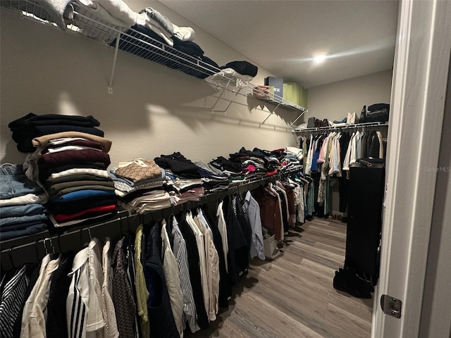 6 Pine Bluff Ln, Palm Coast, FL 32164 - walk in closet with wood finished floors