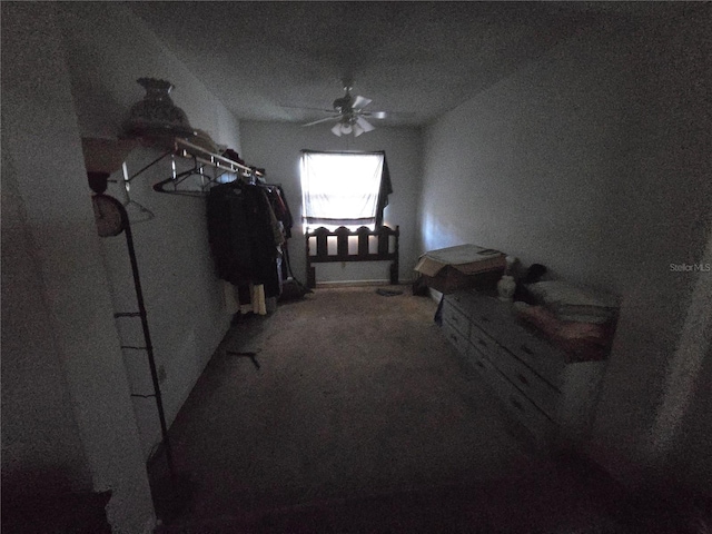 924 31st St E, Palmetto, FL 34221 - photo 7