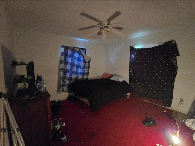 924 31st St E, Palmetto, FL 34221 - photo 9