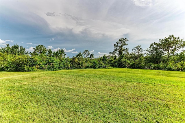 8331 241st St E, Myakka City, FL 34251 - photo 72
