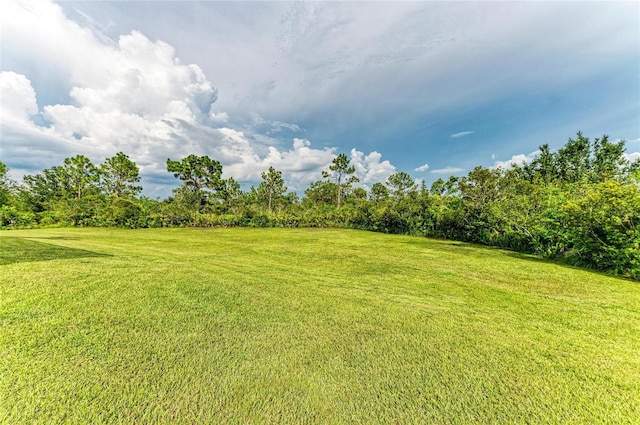 8331 241st St E, Myakka City, FL 34251 - photo 73