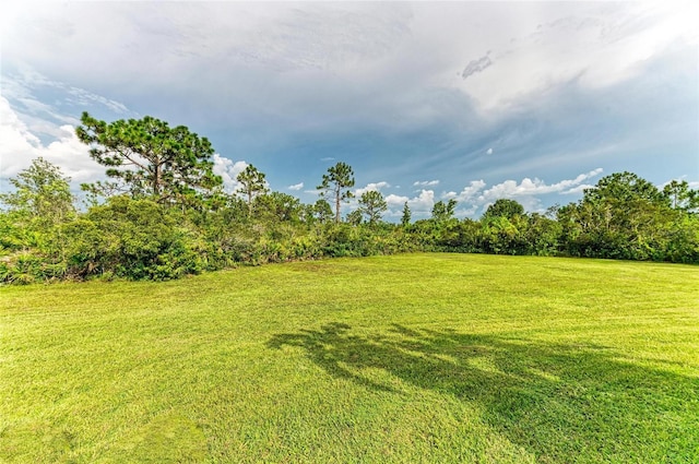 8331 241st St E, Myakka City, FL 34251 - photo 74