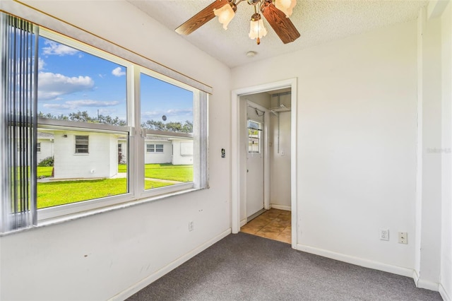 5070 Lily St N, Pinellas Park, FL 33782 - photo 22