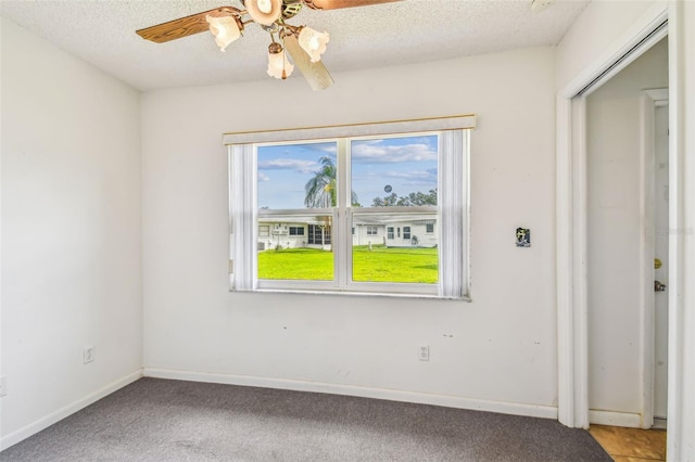 5070 Lily St N, Pinellas Park, FL 33782 - photo 23