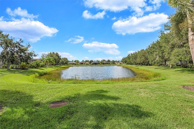 12071 Forest Park Cir, Bradenton, FL 34211 - photo 68