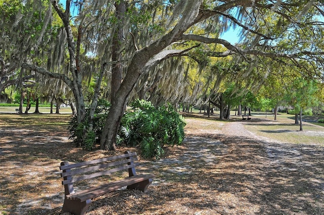 4609 Pine Green Trl Unit 4609, Sarasota, FL 34241 - photo 28