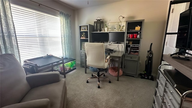 12293 Mountain Island Trl, Parrish, FL 34219 - office area featuring carpet floors and plenty of natural light