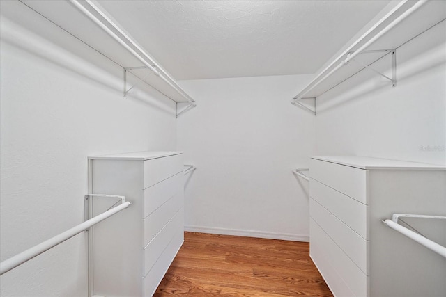 626 Hand Ave, Sarasota, FL 34232 - spacious closet with light wood-style floors
