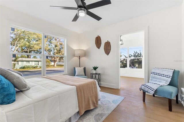 1900 20th Ave N, Saint Petersburg, FL 33713 - photo 11