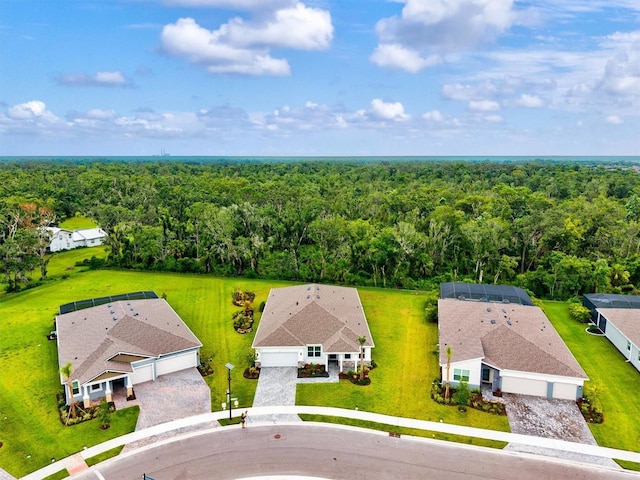 5318 124th Ave E, Parrish, FL 34219 - aerial view of a heavily wooded area