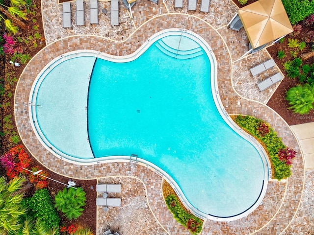5318 124th Ave E, Parrish, FL 34219 - view of swimming pool