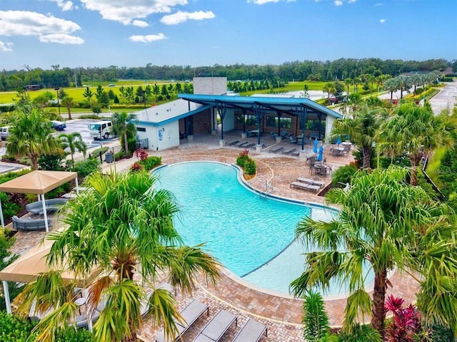 5318 124th Ave E, Parrish, FL 34219 - outdoor pool with a patio and view of wooded area