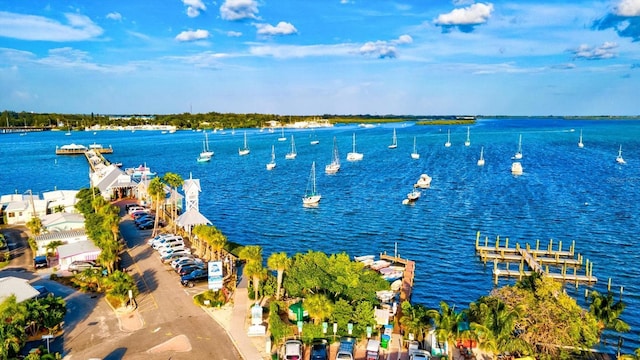 5318 124th Ave E, Parrish, FL 34219 - aerial view of a large body of water