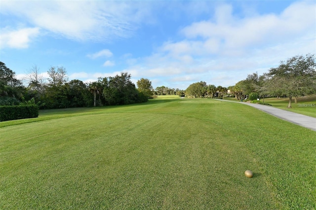 7357 Fountain Palm Cir Unit 11-102, Bradenton, FL 34203 - photo 45