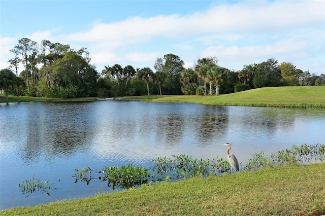 7357 Fountain Palm Cir Unit 11-102, Bradenton, FL 34203 - photo 52
