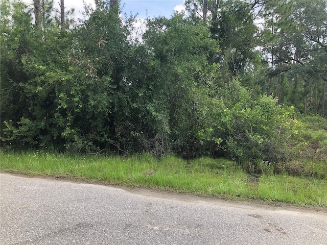 Longwell Ln, North Port, FL 34286 - photo 4